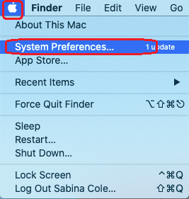 Apple Menu -> System Preferences